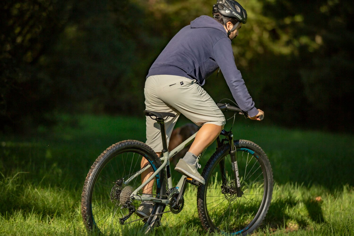 React Evo — Swift Bicycles – Swift Bicycles - PT